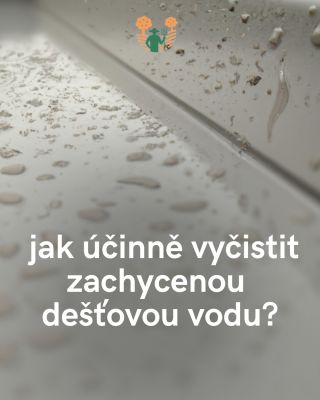 Při deštích se ze střech splachuje docela dost nečistot, jako jsou pyly nebo prach. To čistotě dešťové vody moc nepřidává....